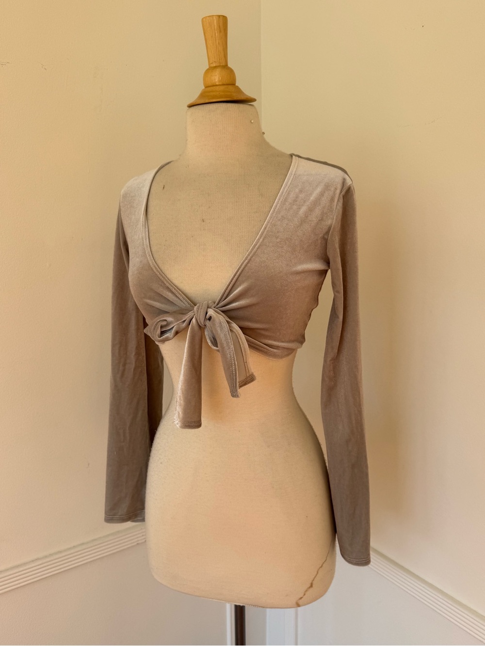 Silver Tie-Front Velvet Crop Top